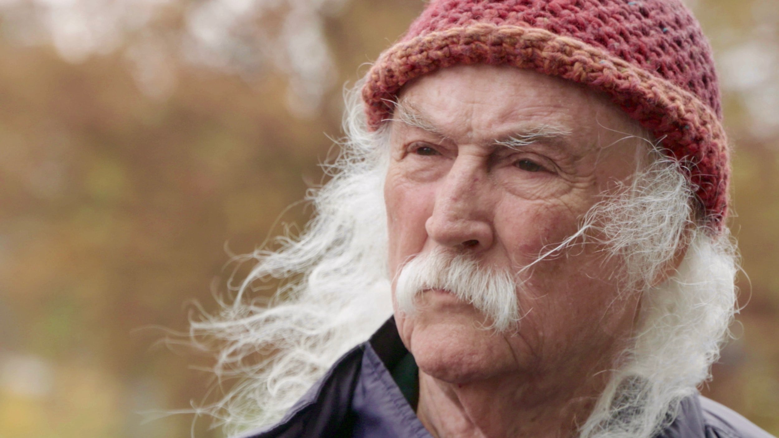 หนังดีที่ควรดู David Crosby Remember My Name ฉากต่อสู้หนัก